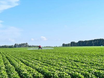 北大荒集團育種培&ldquo;芯&rdquo;打好種業(yè)&ldquo;翻身仗&rdquo;