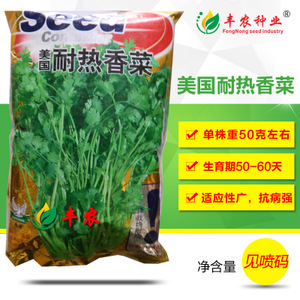 蔬菜香菜種子市場洞察 價格、供應商與種植前景